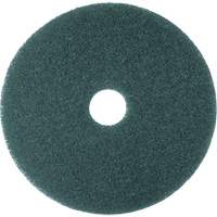 Cleaner Pad, 13", Scrubbing, Blue We Share Industrial Supply