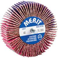 Meules à lamelles abrasives