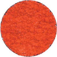 Disques en tissu &agrave; remplacement rapide Blaze R980P, 2" dia., Grain 36, C&eacute;ramique d'alumine We Share Industrial Supply