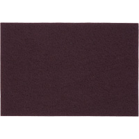 Tampons manuels Bear-Tex, Oxyde d'aluminium, 6" x 9", Grain Tr&egrave;s fin We Share Industrial Supply