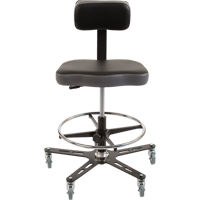 Chaise ergonomique industrielle TF160, Mobile, Ajustable Hauteur, Capacit&eacute; 300 lb We Share Industrial Supply