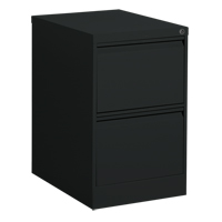 Classeur vertical, Acier, 2 tiroirs, 18-1/7" la x 25" p x 29" h, Noir We Share Industrial Supply