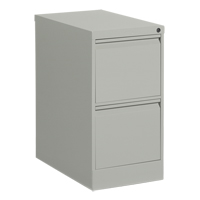 Classeur vertical, Acier, 2 tiroirs, 15-1/7" la x 25" p x 29" h, Gris We Share Industrial Supply