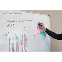 Whiteboard Eraser We Share Industrial Supply