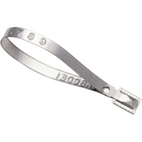 Scell&eacute;s Guard Lock, 8-3/8", M&eacute;tal, Scell&eacute; pour camion We Share Industrial Supply