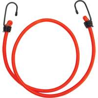 Bungee Cord Tie Downs, 36" We Share Industrial Supply
