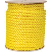 Braided Yellow Rope, Polypropylene, 300' We Share Industrial Supply