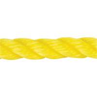 Braided Yellow Rope, Polypropylene, 144' We Share Industrial Supply
