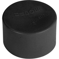 Soft Polyethylene-Blue Test Cap, 1-1/4", Standard, Plastic We Share Industrial Supply