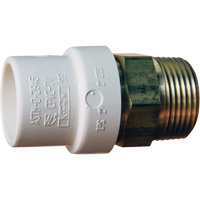 Threaded Pipe Adapter, Hub x MPT, 1" Dia., Brass/CPVC We Share Industrial Supply