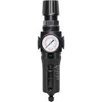 Filtre/r&eacute;gulateur drain manuel avec bol en m&eacute;tal Modulair 300, 1/4" NPT, 250 PSI, Capacit&eacute; de 5,1 oz liq. We Share Industrial Supply