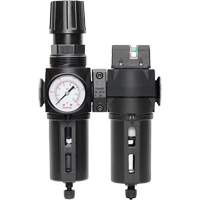 Filtre/r&eacute;gulateur + filtre coalescent drain manuel avec bol standard Modulair 300, 1/4" NPT, 150 psi, Capacit&eacute; de 5,1 oz liq. We Share Industrial Supply