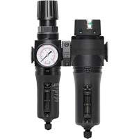 Filtre/r&eacute;gulateur + filtre coalescent drain manuel avec bol en m&eacute;tal Modulair 300, 1/4" NPT, 250 PSI, Capacit&eacute; de 5,1 oz liq. We Share Industrial Supply