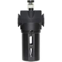 Lubrificateur avec bol standard Modulair 300, 3/8" NPTF, Max. 150 psi, Canalisation/Modulaire We Share Industrial Supply