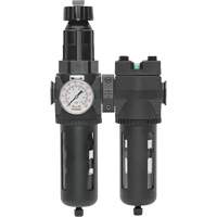 Filtre/d&eacute;tendeur & filtre coalescent Modulair 400 avec bol standard & drain manuel, 3/4" NPTF, 150 psi, Capacit&eacute; de 9,13 oz liq. We Share Industrial Supply