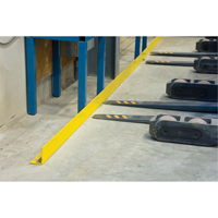 Floor Angle Guard Rails, Steel, 48" L x 5" H, Yellow We Share Industrial Supply
