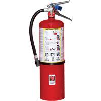 Extincteur d'incendie, ABC, Capacit&eacute; 10 lb We Share Industrial Supply