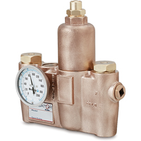 Vannes de m&eacute;lange thermostatiques, 19,5 gal./min We Share Industrial Supply