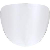 Replacement Lenses We Share Industrial Supply
