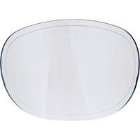 Replacement Lenses We Share Industrial Supply