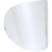 Replacement Lenses We Share Industrial Supply