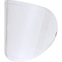 Replacement Lenses We Share Industrial Supply