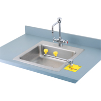 Poste de douche oculaire Swing-Away, Installation Montage sur comptoir We Share Industrial Supply