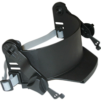 Face Protection