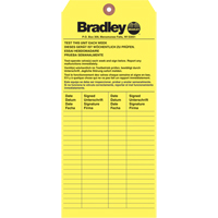 Inspection Tag, Paper, 3-6/8" W x 5-7/8" H, English We Share Industrial Supply