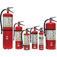 Extincteur d'incendie, ABC, Capacit&eacute; 30 lb We Share Industrial Supply