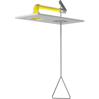 Horizontal Supply Emergency Shower Stations, Ceiling-Mount We Share Industrial Supply