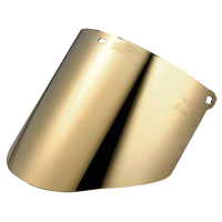 Visi&egrave;re Total Performance, Polycarbonate, Teinte Vert We Share Industrial Supply