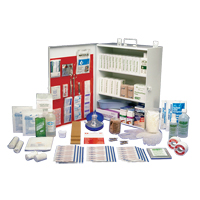 Workplace Deluxe First Aid Kits, Class 1 Medical Device, Metal Box We Share Industrial Supply