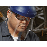 Harnais de t&ecirc;te avec visi&egrave;re, Polycarbonate, Suspension Rochet We Share Industrial Supply