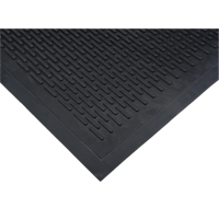 Tapis &agrave; profil bas, Caoutchouc, Grattoir Type, Motif Plein, 3' x 5', Noir We Share Industrial Supply