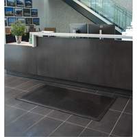 Tapis &agrave; profil bas, Caoutchouc, Grattoir Type, Motif Plein, 3' x 5', Noir We Share Industrial Supply