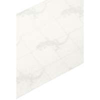 Premium Anti-Skid Tape, 4" x 60', Clear We Share Industrial Supply