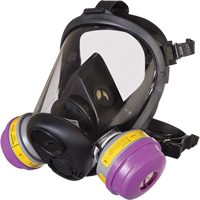 North&reg; RU6500 Series Full Facepiece Respirator, Silicone, Small We Share Industrial Supply