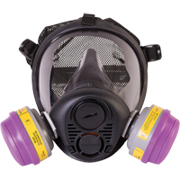 North&reg; RU6500 Series Full Facepiece Respirator, Silicone, Small We Share Industrial Supply