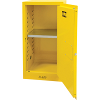 Armoire pour produits inflammables, 16 gal., 1 Porte(s), 23" La x 44" h x 18" p We Share Industrial Supply