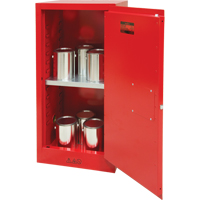 Paint/Ink Cabinet, 20 gal. We Share Industrial Supply
