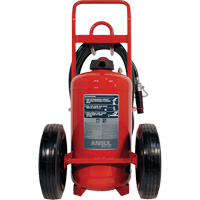Extincteurs Red Line sur roues, BC, Capacit&eacute; 125 lb We Share Industrial Supply