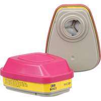 6000 Series Respirator Cartridges, Gas/Vapour Cartridge, Organic Vapour/Acid Gas/P100 We Share Industrial Supply