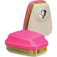 Cartouches pour respirateur s&eacute;rie 6000, Cartouche gaz/vapeur, Gaz multiples/Vapeurs/P100 We Share Industrial Supply