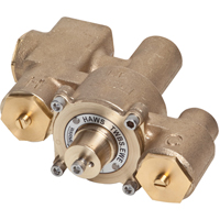 Vannes de m&eacute;lange thermostatique, 12 gal./min We Share Industrial Supply