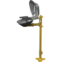 Postes de douche oculaire/faciale Halo, Installation Socle, Bol Acier inoxydable We Share Industrial Supply