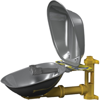 Poste de douche oculaire Halo, Installation Montage mural, Bol Acier inoxydable We Share Industrial Supply