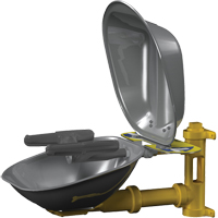 Postes de douche oculaire/faciale Halo, Installation Montage mural, Bol Acier inoxydable We Share Industrial Supply