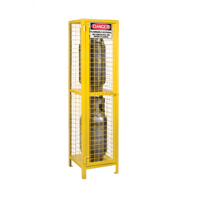 Armoires pour cylindres &agrave; gaz, nbre de bouteilles: 2, 17" , 17" , 69" , Jaune We Share Industrial Supply