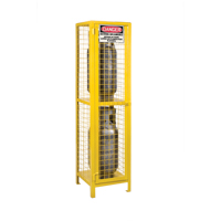 Armoires pour cylindres &agrave; gaz, nbre de bouteilles: 2, 17" , 17" , 69" , Jaune We Share Industrial Supply
